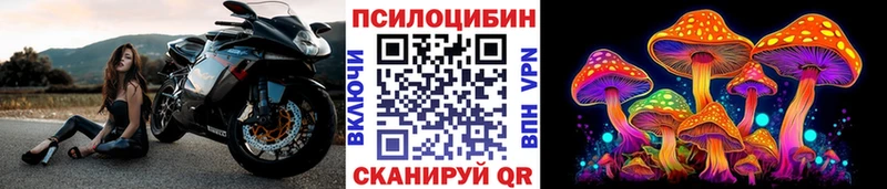 Псилоцибиновые грибы MAGIC MUSHROOMS  Сортавала 